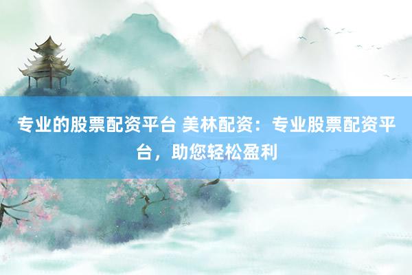 专业的股票配资平台 美林配资：专业股票配资平台，助您轻松盈利