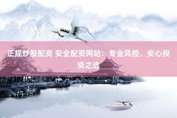 正规炒股配资 安全配资网站：专业风控，安心投资之选