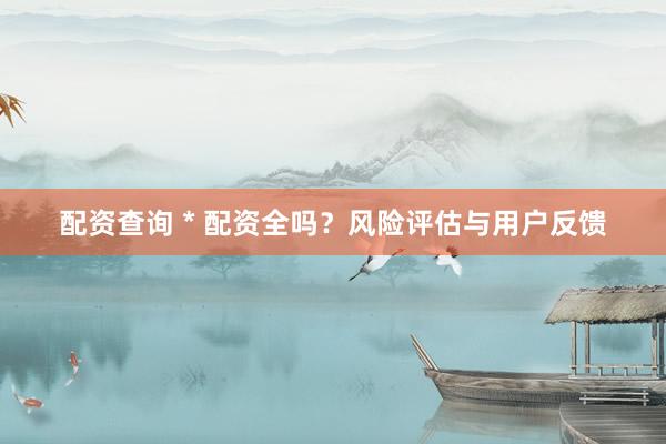 配资查询 * 配资全吗？风险评估与用户反馈