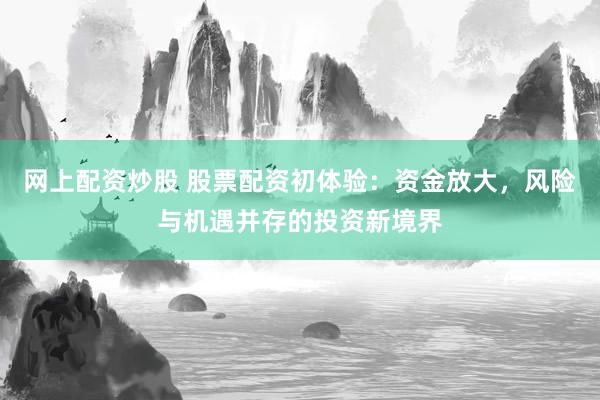 网上配资炒股 股票配资初体验：资金放大，风险与机遇并存的投资新境界