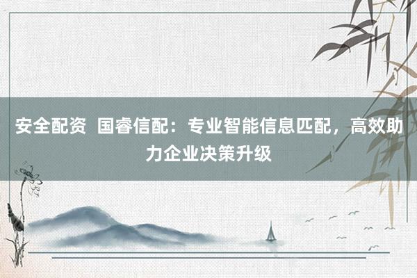 安全配资  国睿信配：专业智能信息匹配，高效助力企业决策升级