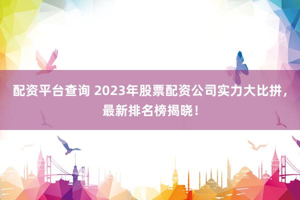 配资平台查询 2023年股票配资公司实力大比拼，最新排名榜揭晓！