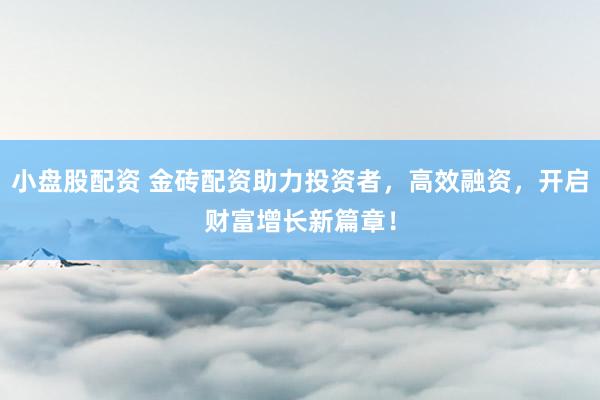 小盘股配资 金砖配资助力投资者，高效融资，开启财富增长新篇章！