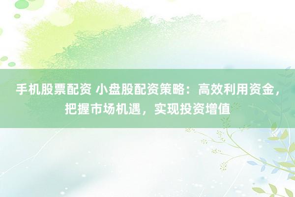 手机股票配资 小盘股配资策略：高效利用资金，把握市场机遇，实现投资增值