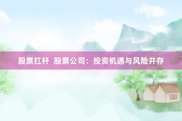 股票扛杆  股票公司：投资机遇与风险并存
