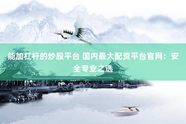 能加杠杆的炒股平台 国内最大配资平台官网：安全专业之选