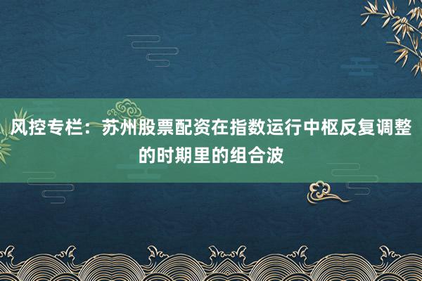 风控专栏：苏州股票配资在指数运行中枢反复调整的时期里的组合波