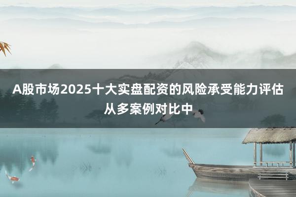 A股市场2025十大实盘配资的风险承受能力评估从多案例对比中