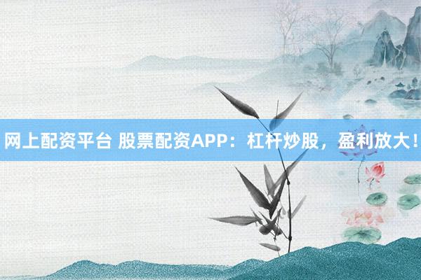 网上配资平台 股票配资APP：杠杆炒股，盈利放大！