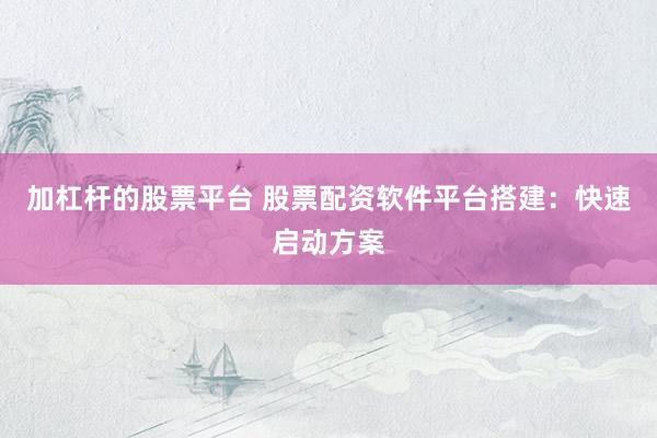 加杠杆的股票平台 股票配资软件平台搭建：快速启动方案