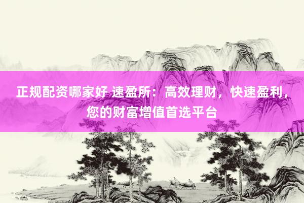 正规配资哪家好 速盈所：高效理财，快速盈利，您的财富增值首选平台